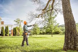 Best Landscape Design and Installation  in Rancho Laveras, CA
