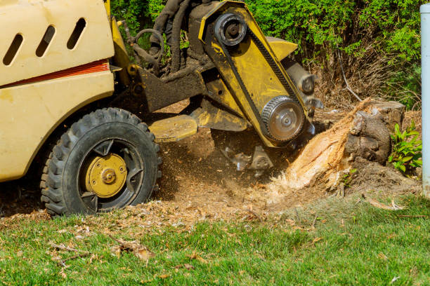 Best Lawn Drainage Solutions  in Rancho Laveras, CA