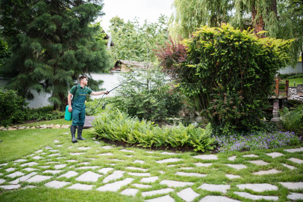 Best Stump Grinding and Removal  in Rancho Laveras, CA