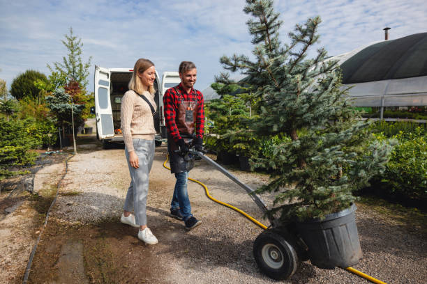 Best Tree Cabling and Bracing  in Rancho Laveras, CA